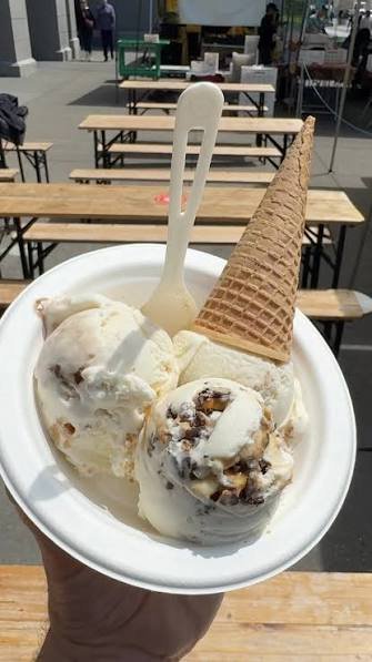 Smores Peanut Butter Cup Ice Cream